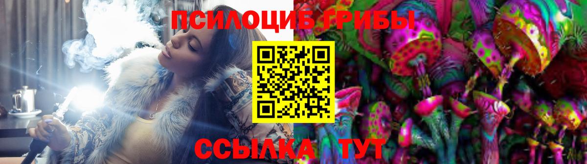 Галлюциногенные грибы Psilocybine cubensis  Вход с VPN  Псилоцибиновые грибы мухоморы  Элиста 