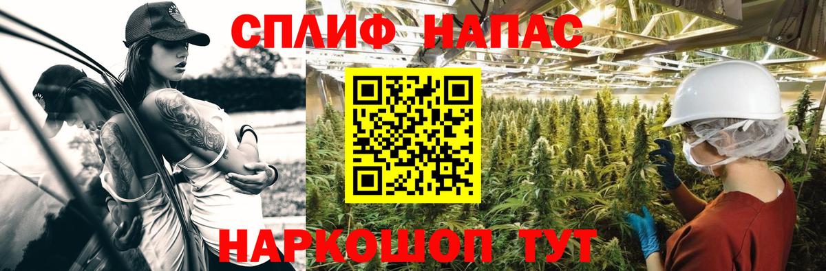 Конопля White Widow  Марихуана сатива  Вход с VPN  Канабис сатива  Каннабис конопля  Элиста 